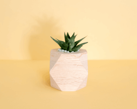 mong-bui-NznxEfw9iVI-unsplash